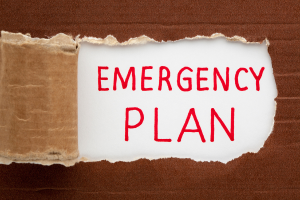 Planning for emergencies and integrated emergency management